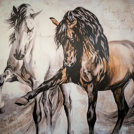 Emeraldapartament * Tiran