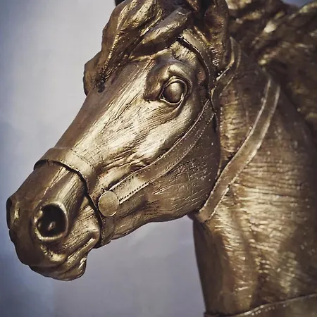 Emeraldapartament Daire Tiran