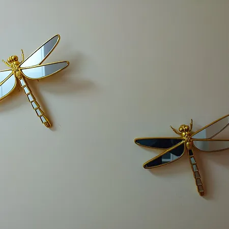 Emeraldapartament Tiran